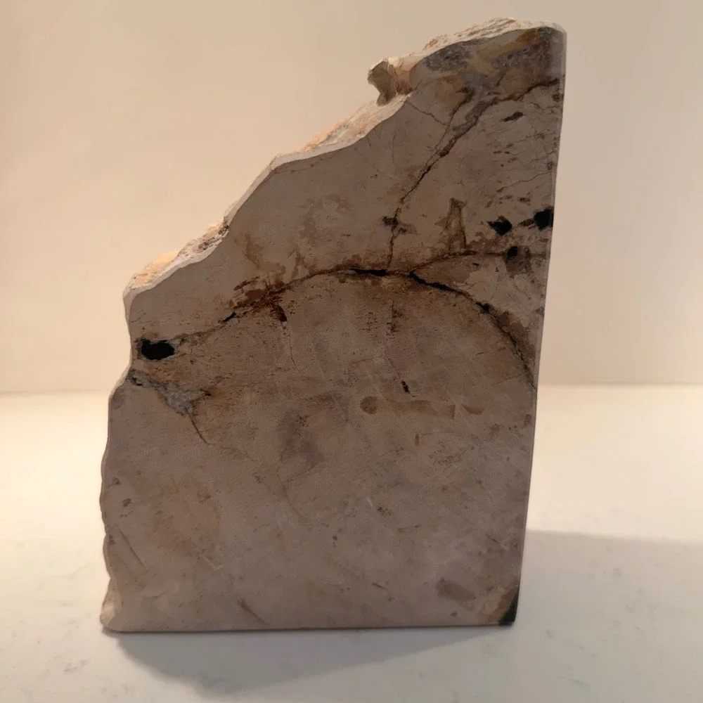 Natural Petrified Wood Single Bookend Handmade Heavy Large Neutral Bibliophile